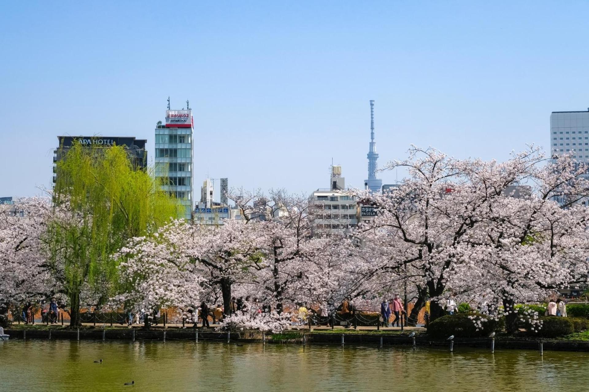 Stayme The Hotel Ueno Токіо Екстер'єр фото